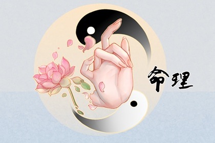 紫微夫妻合盘免费_流年紫微排盘_桃花命盘_专业命盘_十二宫免费查询