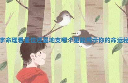 八字命理看星位还是 ⚽ 地支哪个更能揭示你的命 🐌 运秘密