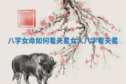 八 🍑 字女命如何看夫星_女人八字看夫 🔚 星 八 🍑 字女命如何看夫星_女人八字看夫 🔚 星