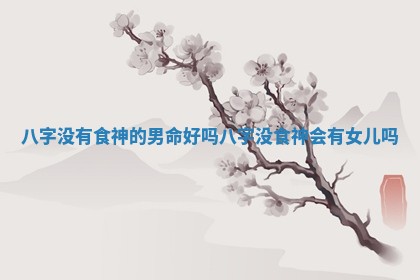 八字没有食 🐎 神的男命好 🐅 吗_八字没食神会有女儿吗