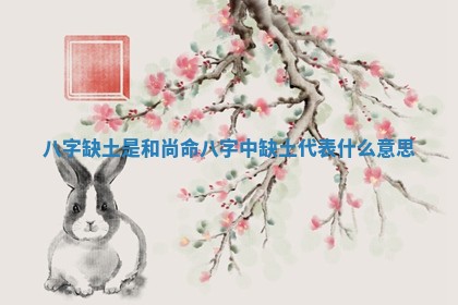 八 🛳 字缺土是和尚命_ 🔬 八字中缺土代表什么意思