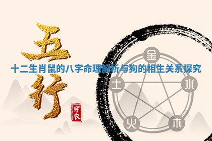 十二生肖鼠 😕 的八字命理解析与 🌪 狗的相生关系探究 十二生肖鼠 😕 的八字命理解析与 🌪 狗的相生关系探究