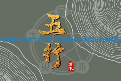 命格中最差的是什 🤛 么生肖 🔟 揭示你命运中的潜在挑战和机遇