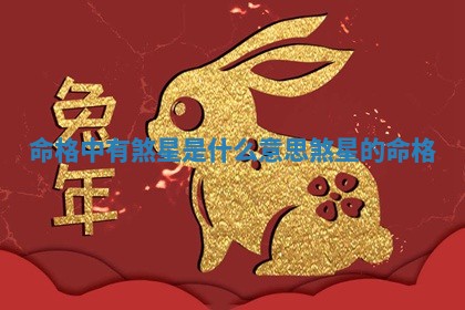 命格中有 🔪 煞星是什么意思_煞星的命格 🎿