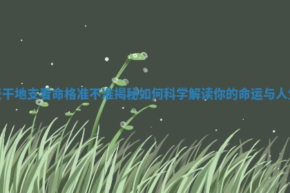 天干地支看 🌹 命格准不准揭秘如何科学解 ⏳ 读你的命运与人生 天干地支看 🌹 命格准不准揭秘如何科学解 ⏳ 读你的命运与人生