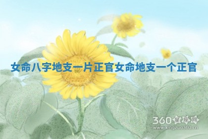 女命八字 🧖 地支一片正官 女命地支一 🌆 个正官