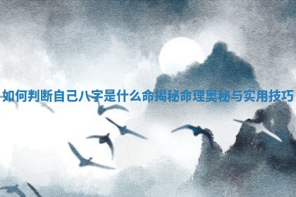 如何判断自己八字是什么命揭秘命理 🚛 奥 🗓 秘与实用技巧