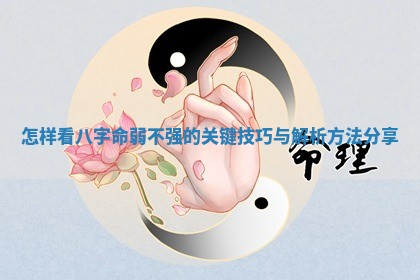 怎样看八字命 🍷 弱不强的关键技巧与解析 📶 方法分享 怎样看八字命 🍷 弱不强的关键技巧与解析 📶 方法分享