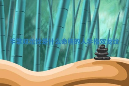 手 👡 掌双龙纹是什么命格 🏔 的人_手指双龙纹