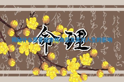 揭秘什么是星宿命格命局及其 🎭 对人 🈶 生的影响