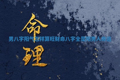 男八字阳 ⌚ 气怎样算旺财命 🏦 _八字全是阳男人命运