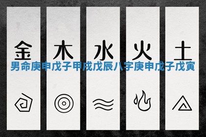 男命庚申戊子 🚏 甲戌戊辰八字_ 🦜 庚申戊子戊寅