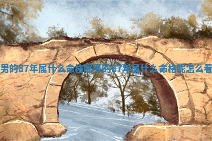 男的 🤹 87年属什么命 🦊 格呢 男的87年属什么命格呢怎么看