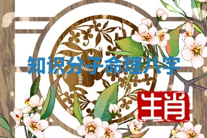 知识分子命 🍿 理八字 😗