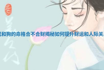 鼠和狗的命格合不合财揭秘如何提升财 🥘 运和人际 🔫 关系 鼠和狗的命格合不合财揭秘如何提升财 🥘 运和人际 🔫 关系