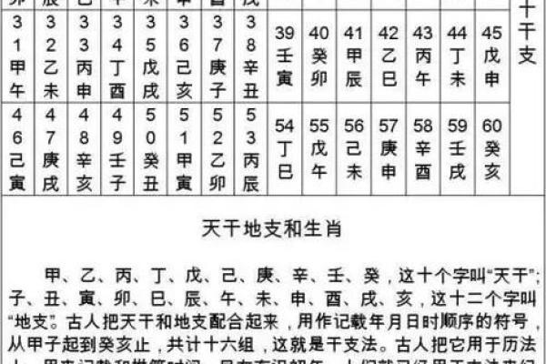 属兔的和属鼠的相冲吗（兔年和鼠年生肖是否相冲解析）