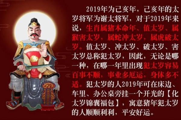 属蛇人2025年犯太岁马（属蛇人2025年如何转运）