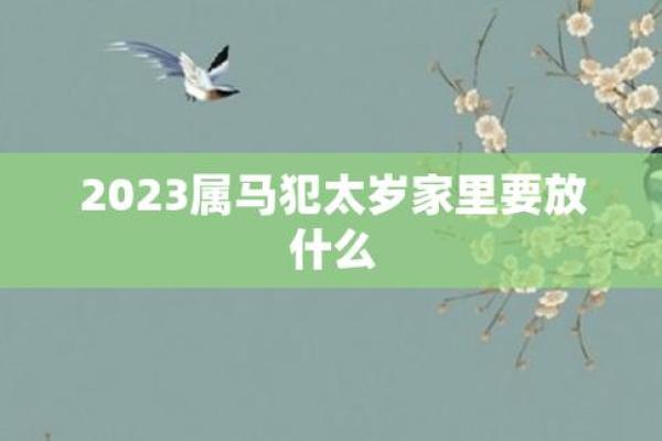 属马人2025年犯太岁马（属马人2025年如何转运）