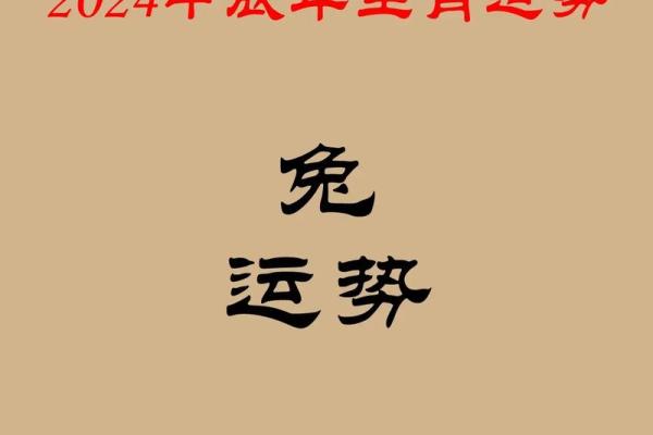 属兔人2025年犯太岁马（属兔人2025年如何转运）