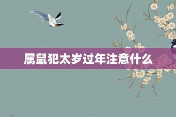 属鼠人2025年犯太岁马（属鼠人2025年如何转运）