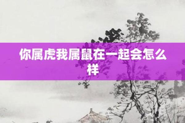 生肖鼠婚配虎的好吗（生肖鼠与生肖虎婚配是否适宜分析）