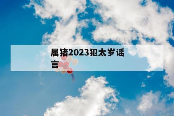 属猪人2024年犯太岁吗（属猪人2024年如何转运）