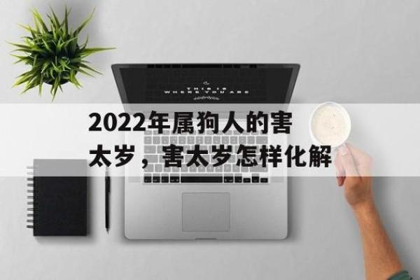 属狗人2024年犯太岁吗（属狗人2024年如何转运）