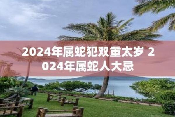 属虎人2024年犯太岁吗（属虎人2024年如何转运）