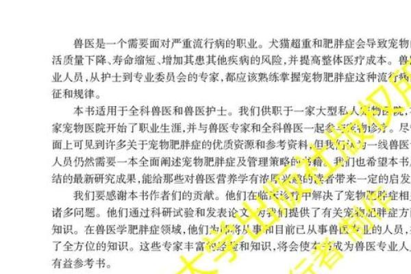 宠物公司起名大全_宠物企业命名汇编