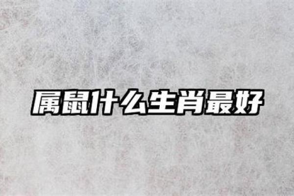属鼠的和属龙的差几岁_生肖鼠与生肖龙年龄差距解析