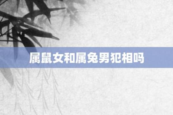 属兔男和属鼠的属相（兔男鼠女属相配对解析）
