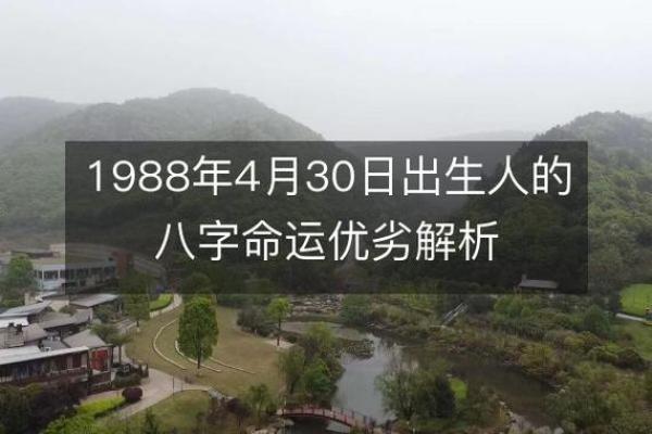 八字沙中土是什么命_八字沙中土命理解析