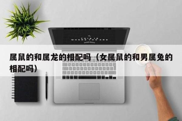 属龙男怎么看属鼠女结婚_如何解读属龙男性对属鼠女性结婚的看法