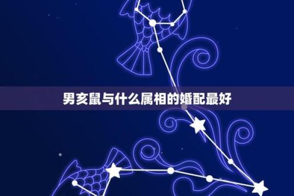属龙男怎么看属鼠女结婚_如何解读属龙男性对属鼠女性结婚的看法