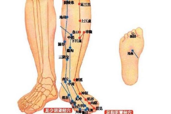 揭秘左脚踝痣寓意：富贵象征解析及其含义