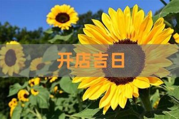 8月开市吉日查询 今年开店什么日子最好