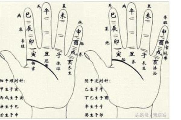 女命官星藏地支不透_女性命官星隐藏地支未显
