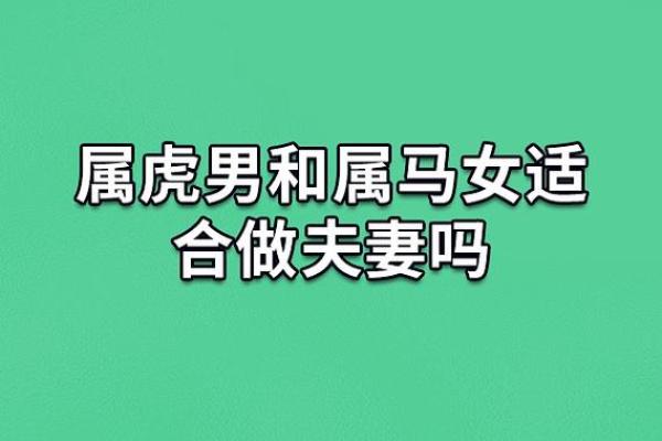 78年马男与77年蛇女的婚配分析