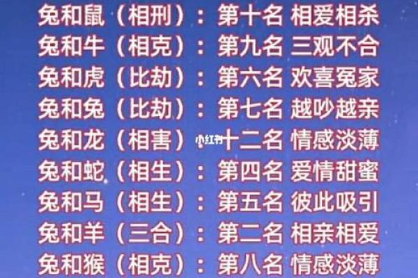 02年属马男与98年属虎女的配对分析
