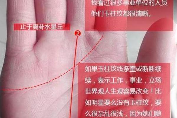 女性左手事业线深度解读：探寻理想女生事业线特征
