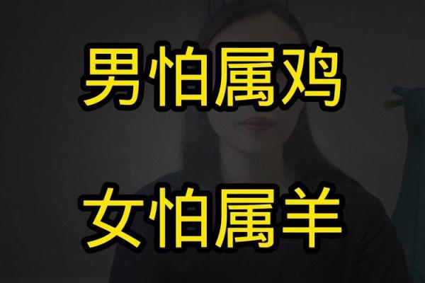 03年属羊男与05年属鸡女的婚配缘分分析