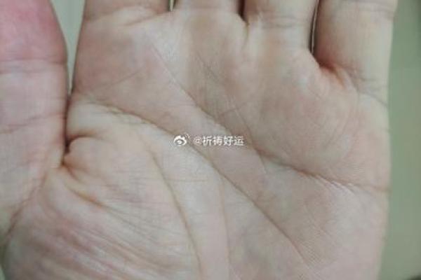 女性左手揭示良缘伴侣：左手手相中的爱情密码解读