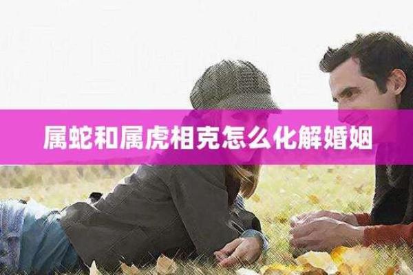 13年属蛇男与10年属虎女的婚姻可能性分析