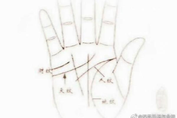 探寻手相中的财运线位置及其解读方法