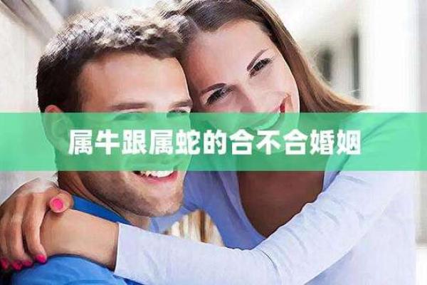 2009年属牛男与2013年属蛇女的婚姻可能性分析