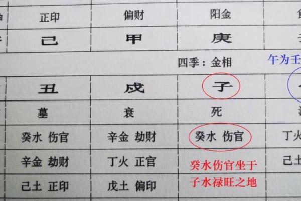 八字命局衰旺怎么看出 八字命局的衰旺如何识别
