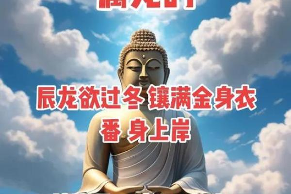 76年出生属龙人在2025年的命运解析