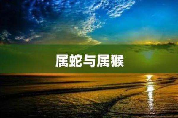 16年属猴男与13年属蛇女的婚姻可能性探讨