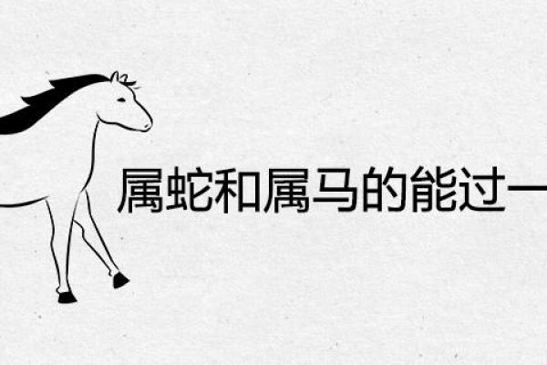 78年属马男与77年属蛇女的配对分析