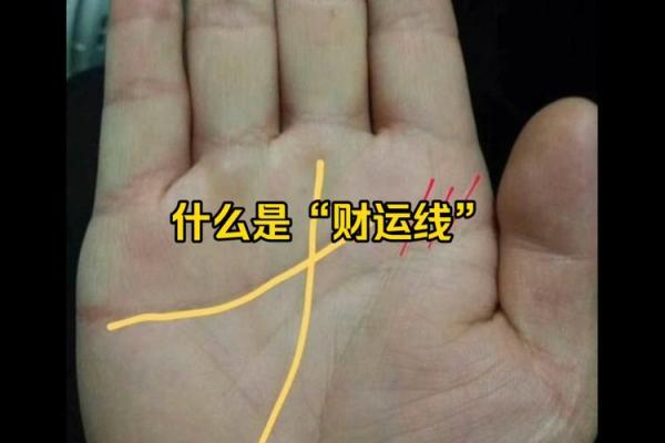 解析财运亨通的手相特征：哪些手相预示财富好运